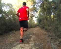 Preparación Física y Entrenamiento